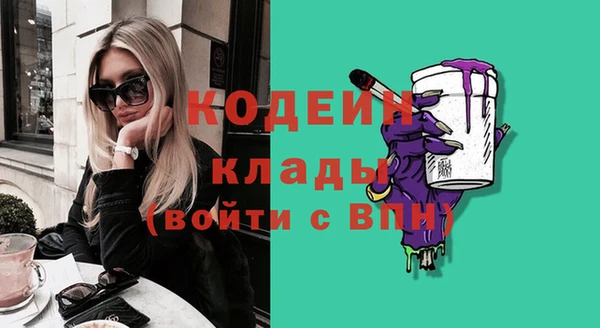 mdpv Вяземский