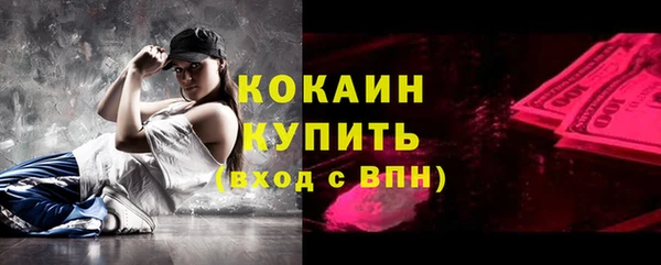mdpv Вяземский