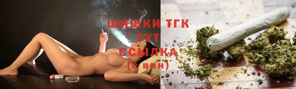 mdpv Вяземский