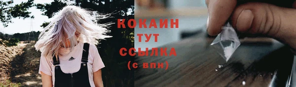 mdpv Вяземский