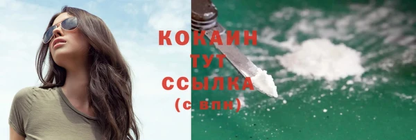 mdpv Вяземский