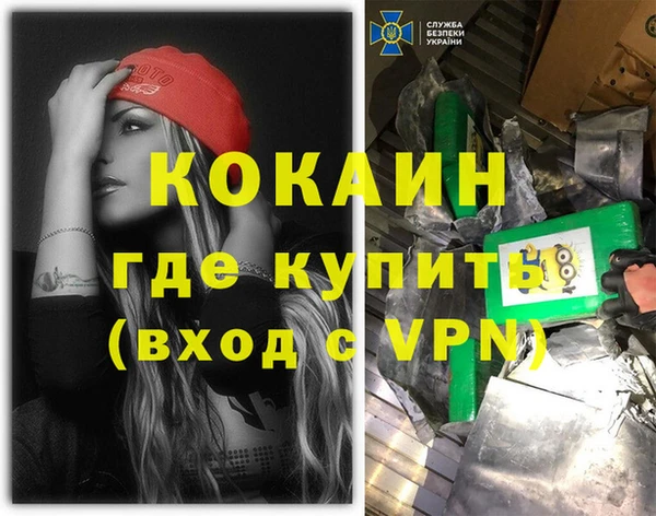 mdpv Вяземский