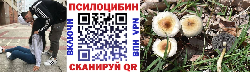 как найти закладки  Дальнереченск  MEGA вход  Псилоцибиновые грибы GOLDEN TEACHER 